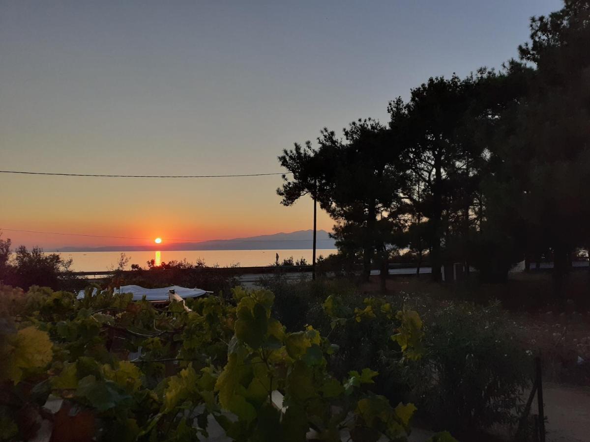Το Σπίτι Με Το Πηγάδι - Wellcottage Thassos Скала-Каллирахис Экстерьер фото