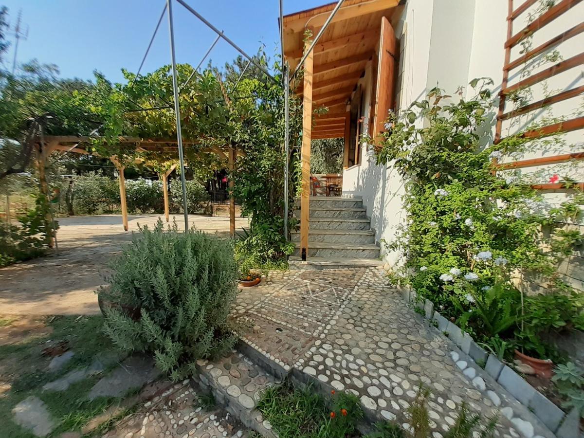 Το Σπίτι Με Το Πηγάδι - Wellcottage Thassos Скала-Каллирахис Экстерьер фото