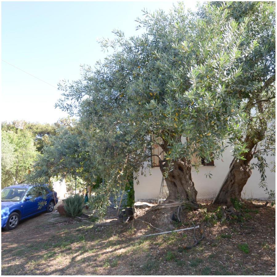Το Σπίτι Με Το Πηγάδι - Wellcottage Thassos Скала-Каллирахис Экстерьер фото